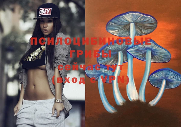 гашик Алзамай