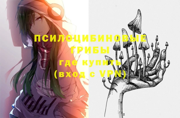 гашик Алзамай