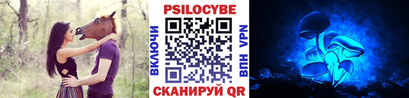 Псилоцибиновые грибы Psilocybine cubensis Жуков